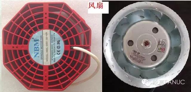 1591584935543085.jpg 新聞4-2.jpg